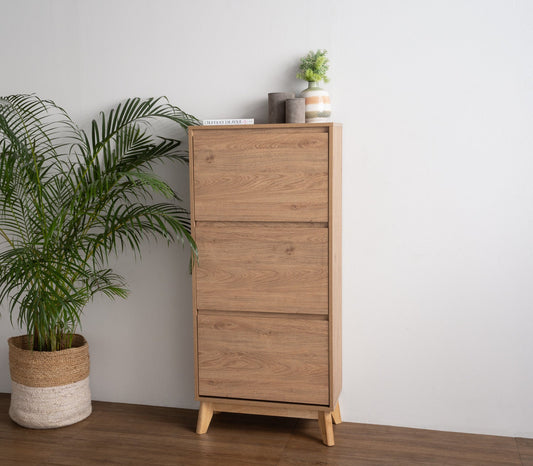 Alven Shoe Cabinet