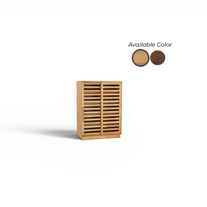 Tokiyo Shoe Cabinet
