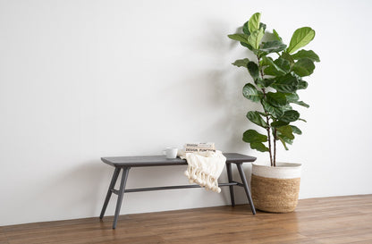 Nina Bench