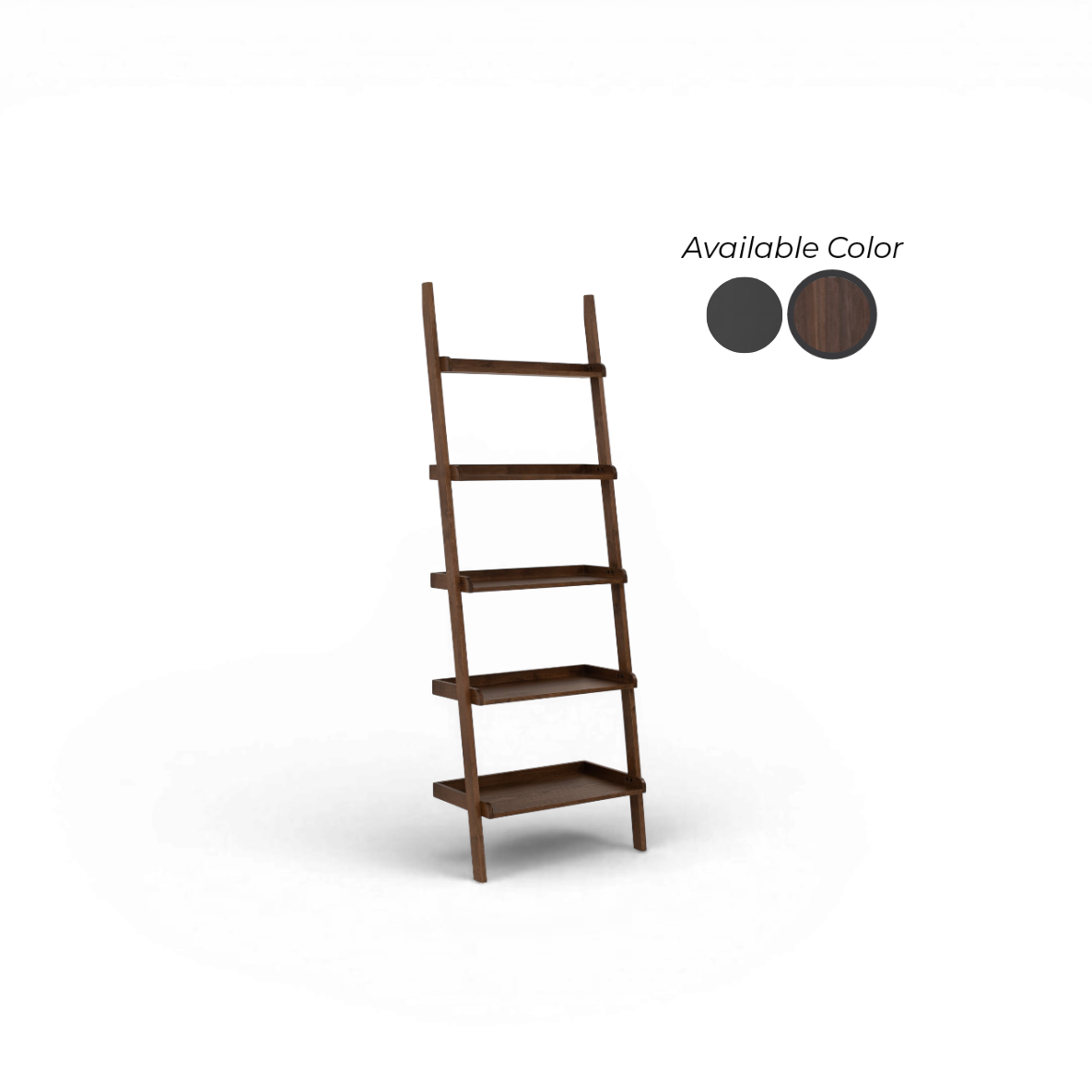 Elaria Leaning Bookcase