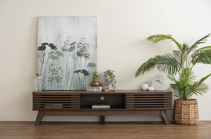 Givon TV Console