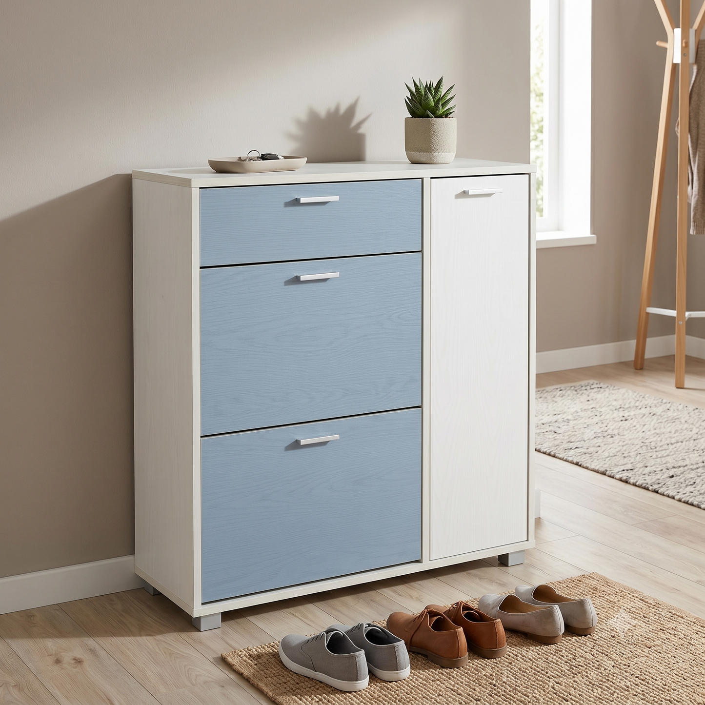 Blueva Shoe Cabinet