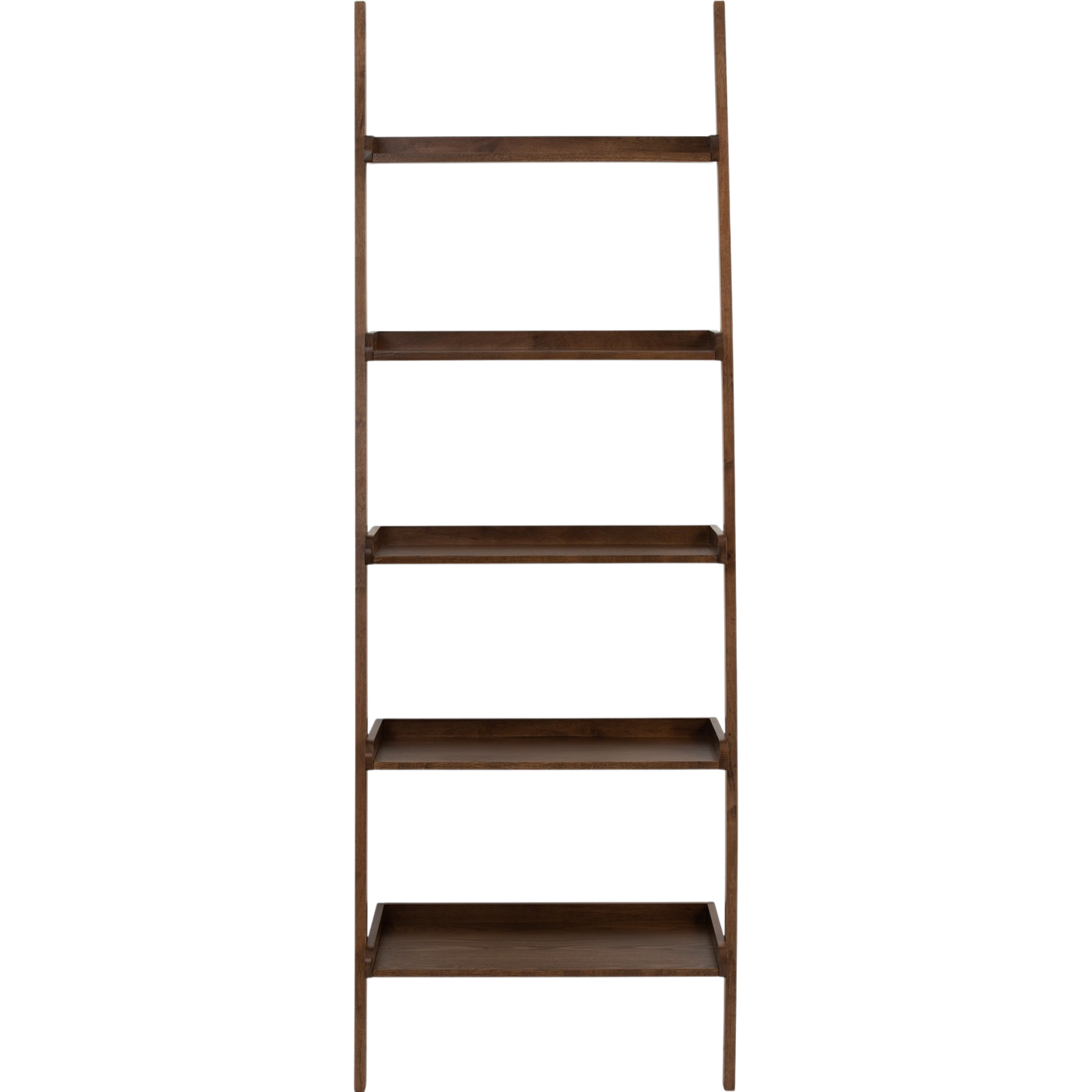 Elaria Leaning Bookcase