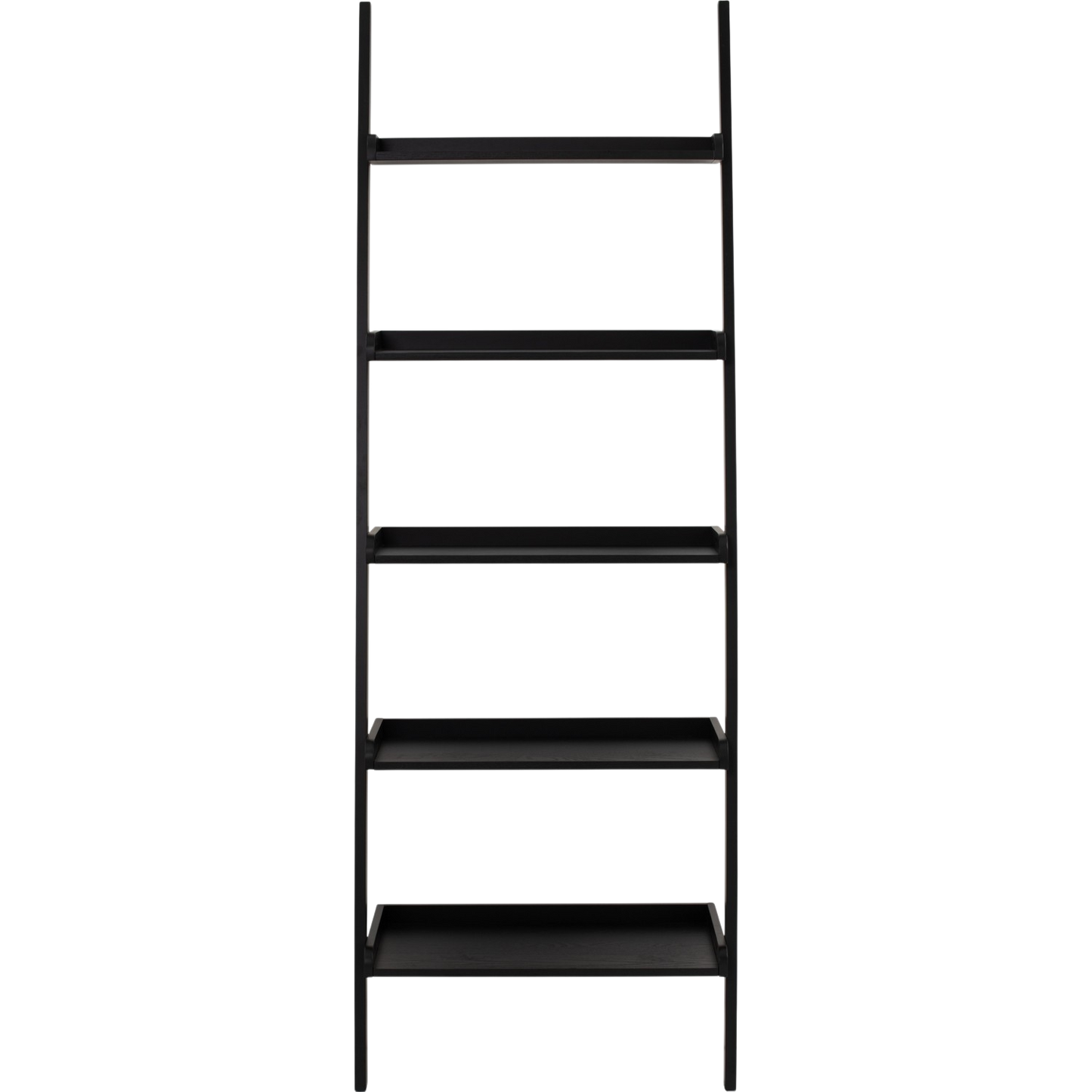 Elaria Leaning Bookcase