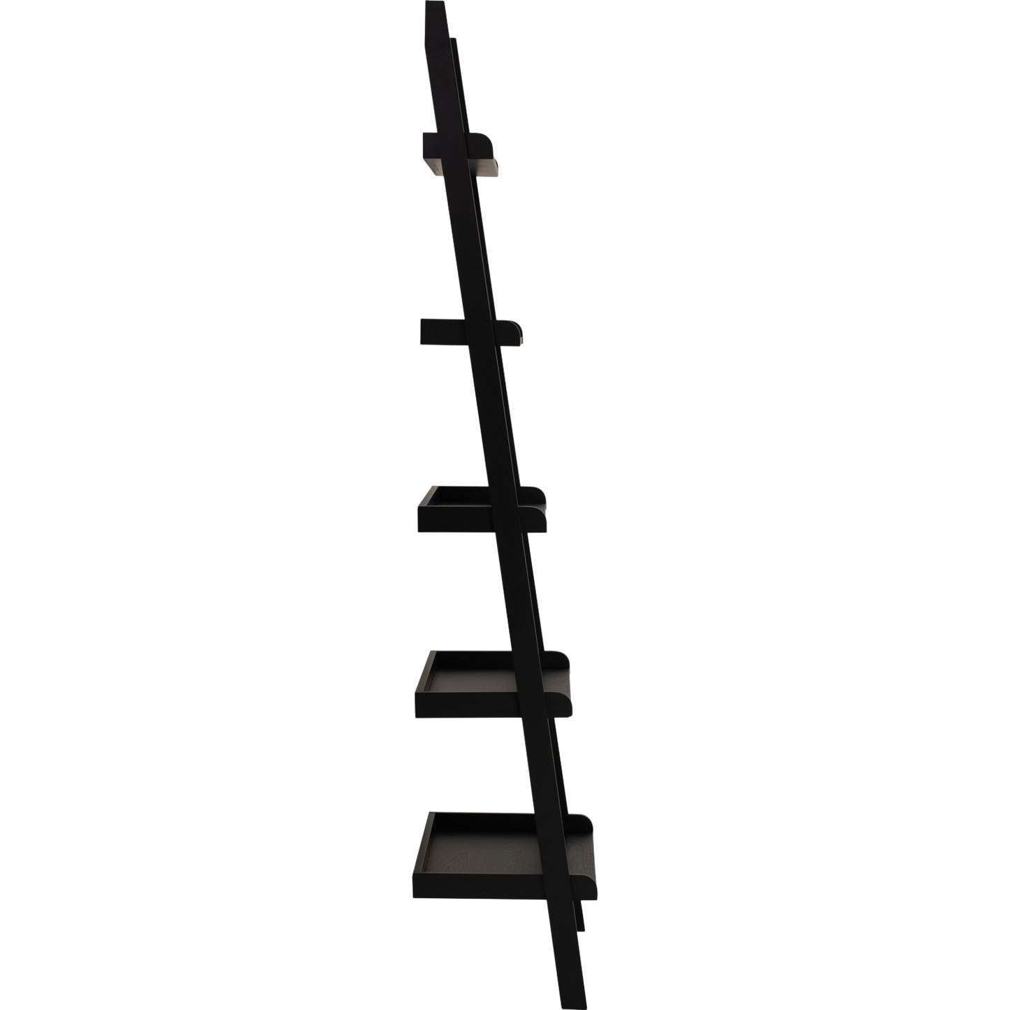 Elaria Leaning Bookcase
