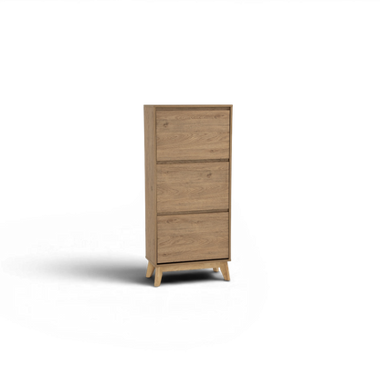 Alven Shoe Cabinet